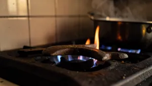 podkowa do pieca kuchennego cena